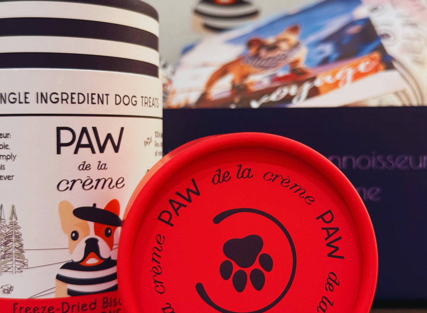 Dog & Puppy Gift Box - The Jetsetter