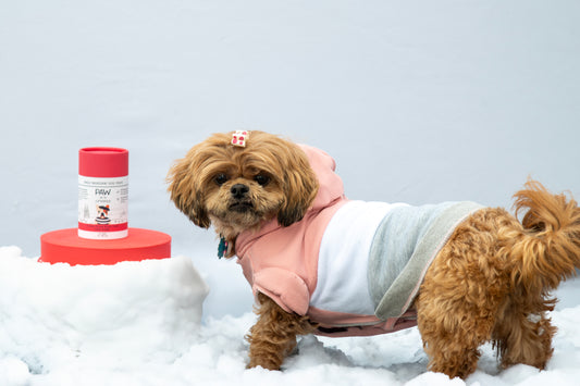 Freeze-Dried Bison Liver Dog Treats - Small Dogs & Puppies