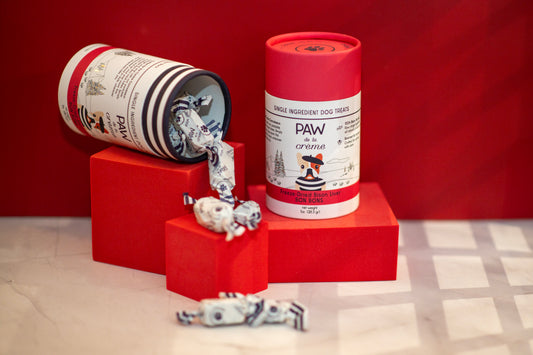 Dog & Puppy Gift Box - The Jetsetter