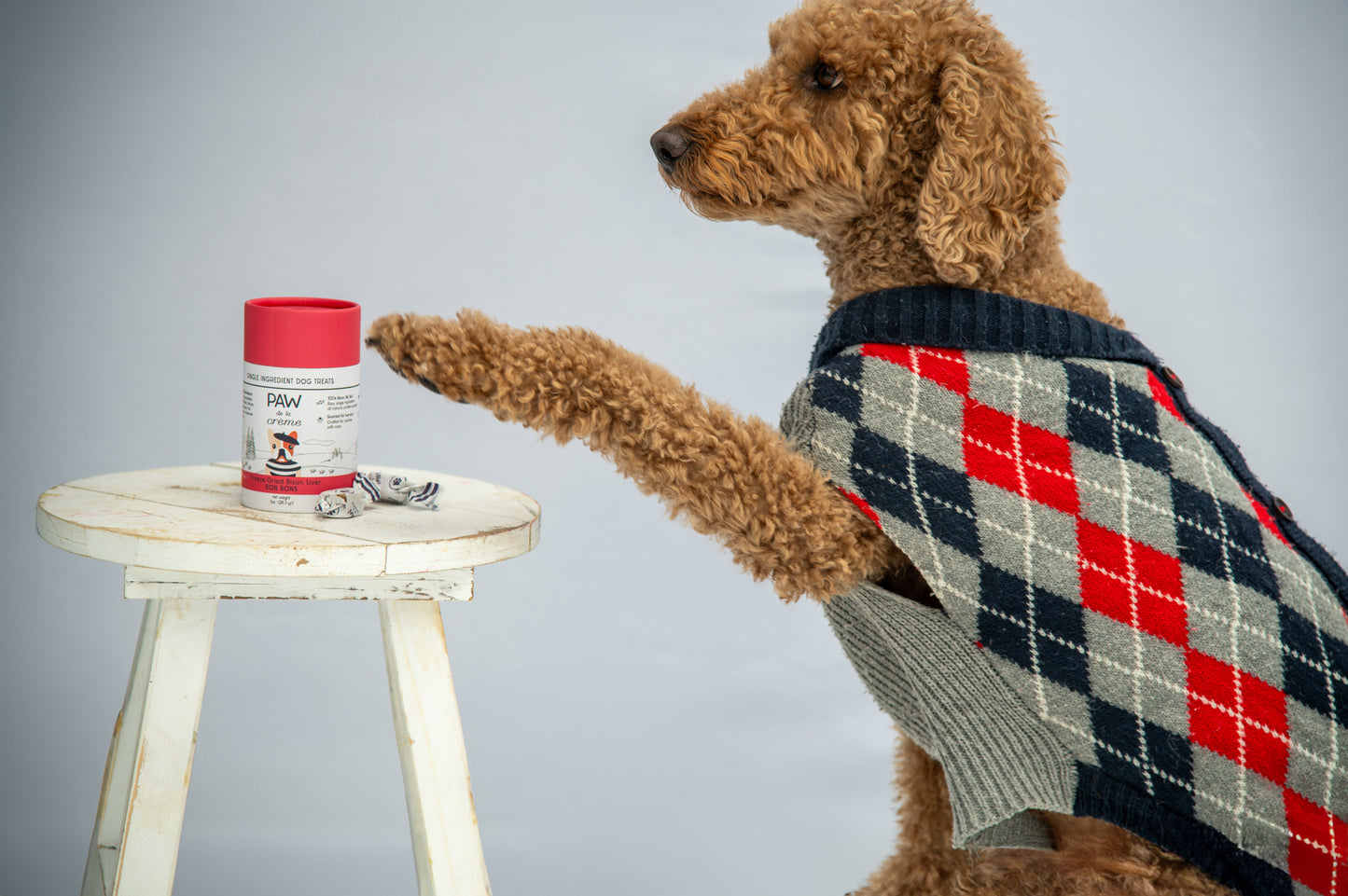 Freeze-Dried Bison Liver Dog Treats