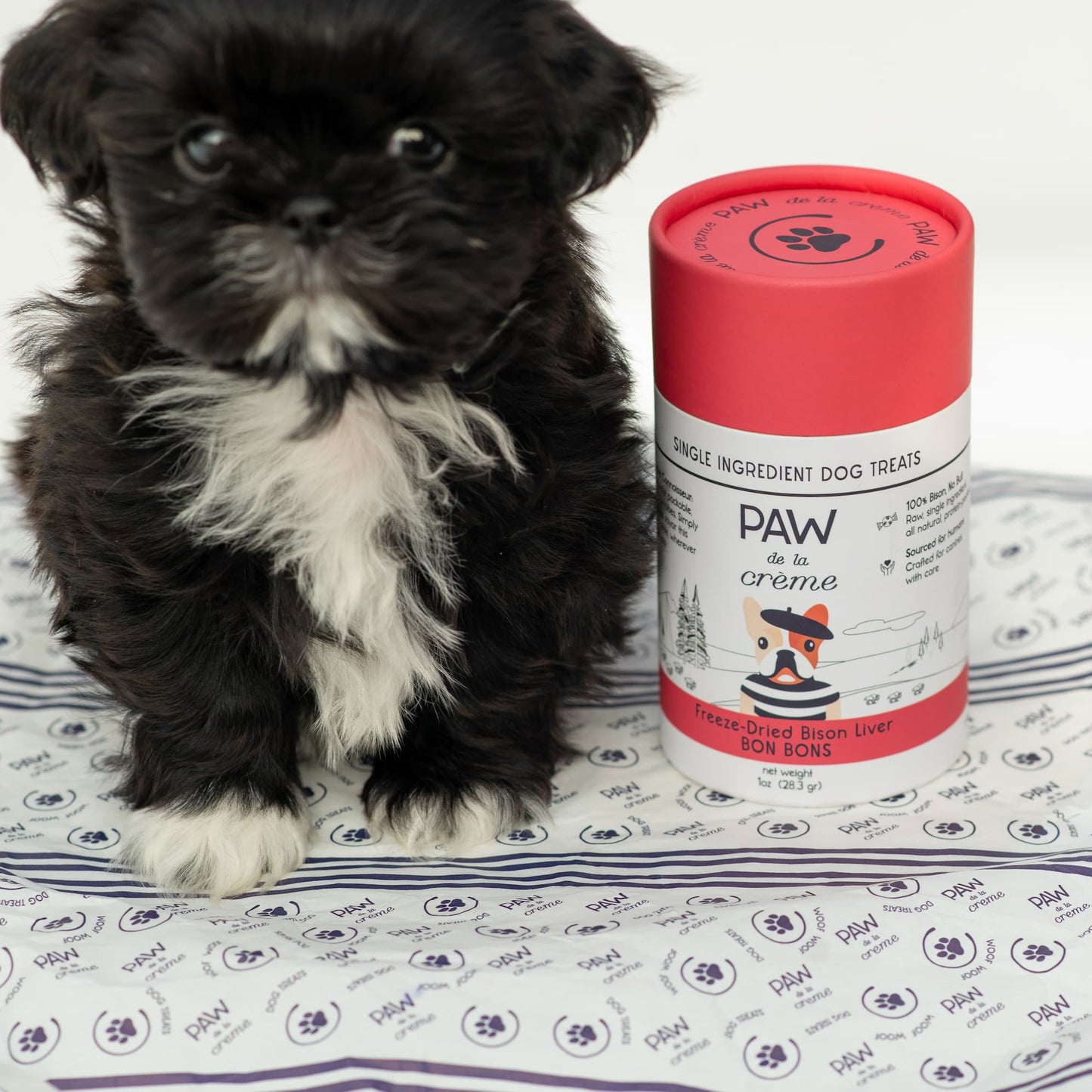 Freeze-Dried Bison Liver Dog Treats - Small Dogs & Puppies